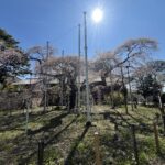 2025年振り返り（前半）